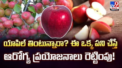 యాపిల్ తింటున్నారా? ఈ ఒక్క పని చేస్తే ఆరోగ్య ప్రయోజనాలు రెట్టింపు