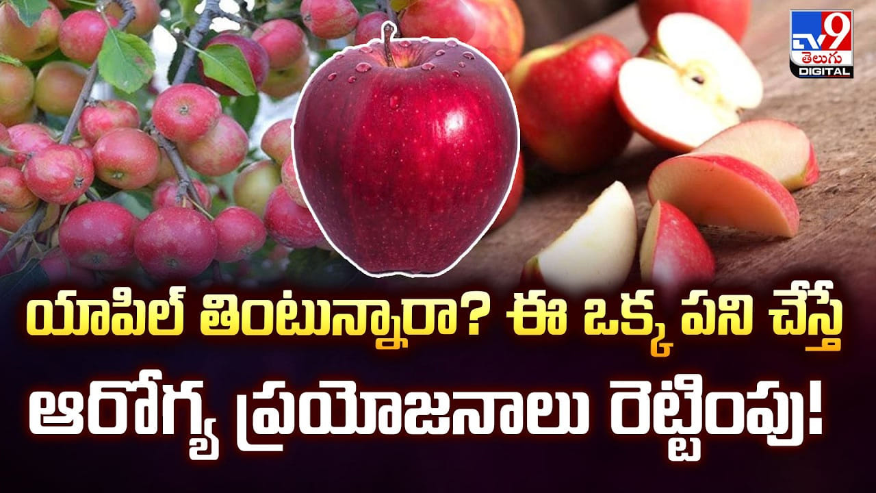 యాపిల్ తింటున్నారా? ఈ ఒక్క పని చేస్తే ఆరోగ్య ప్రయోజనాలు రెట్టింపు! యాపిల్ తింటున్నారా? ఈ ఒక్క పని చేస్తే ఆరోగ్య ప్రయోజనాలు రెట్టింపు!