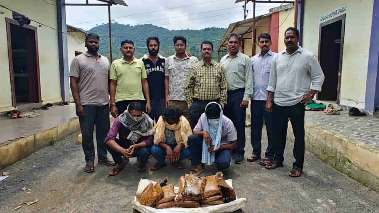 Andhra Pradesh: అరకు అడవిలో అలజడి.. భారీగా పట్టుబడ్డ గంజాయి.. సీన్ కట్ చేస్తే..