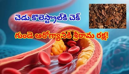 చెడు కొలెస్ట్రాల్‌ను కరిగించి గుండెను రక్షించే రామబాణం!
