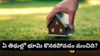 Vastu Tips: భూమి కొనాలనుకుంటున్నారా? ఈ రోజులు, నక్షత్రాలు శుభప్రదమట.. సెప్టెంబర్‌లో మంచి తేదీలు ఇవే!