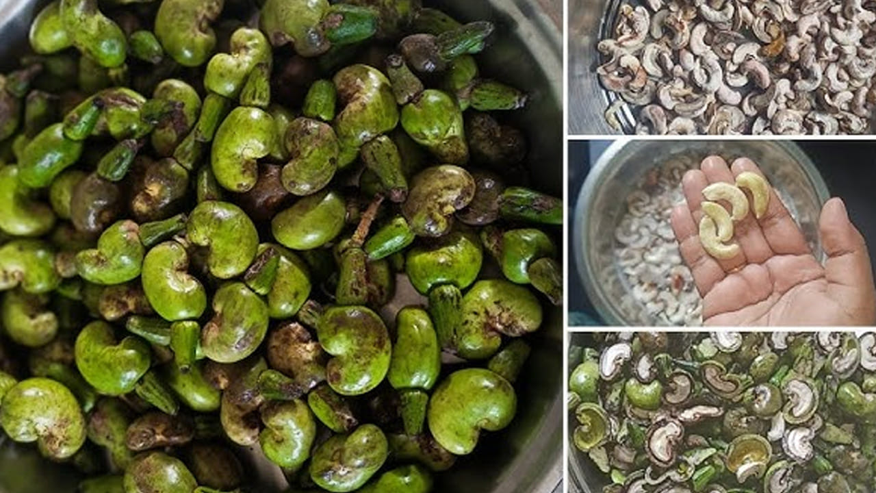(నోట్ : ఇక్కడ రాసిన సమాచారం ఇంటర్నెట్ నుంచి తీసుకోబడింది. ఇందులోని అంశాలు కేవలం అవగాహన కోసం మాత్రమే. నిపుణులు అందించిన సమాచారం ప్రకారం ఇక్కడ తెలియజేయడమైనది. ఆరోగ్యరీత్యా ఎలాంటి సమస్యలు ఉన్నానేరుగా వైద్య నిపుణులను సంప్రదించడం మంచిది)
