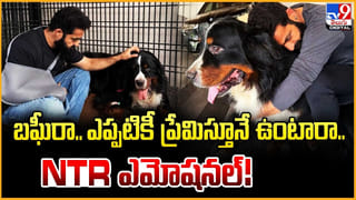 బఘీరా.. ఎప్పటికీ ప్రేమిస్తూనే ఉంటారా.. NTR ఎమోషనల్!