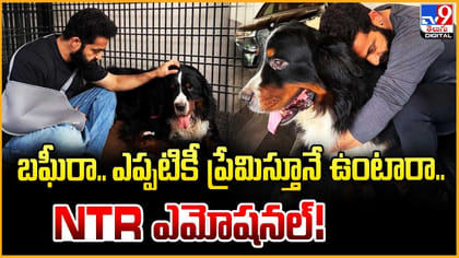 బఘీరా.. ఎప్పటికీ ప్రేమిస్తూనే ఉంటారా.. NTR ఎమోషనల్!