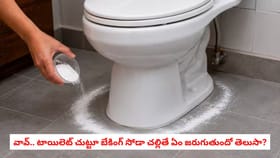 వావ్.. టాయిలెట్ చుట్టూ బేకింగ్ సోడా చల్లితే ఏం జరుగుతుందో తెలుసా?