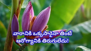 అరటి పువ్వు అద్భుతాలు.. మధుమేహ నియంత్రణలో లక్ష్మణ రేఖ! వారానికి ఒక్కసారైనా తింటే