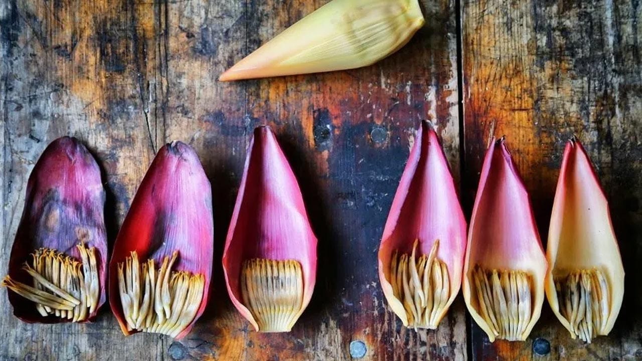 Banana Flower Food