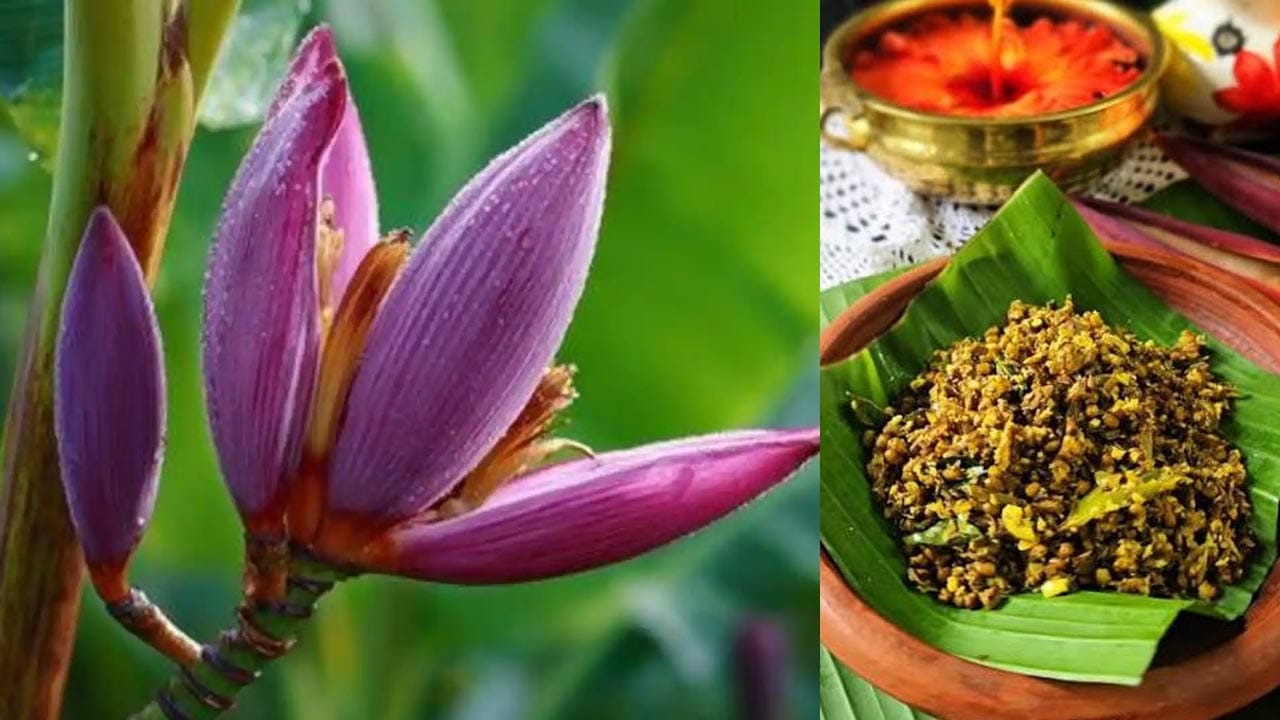 Banana Flower Nutrition