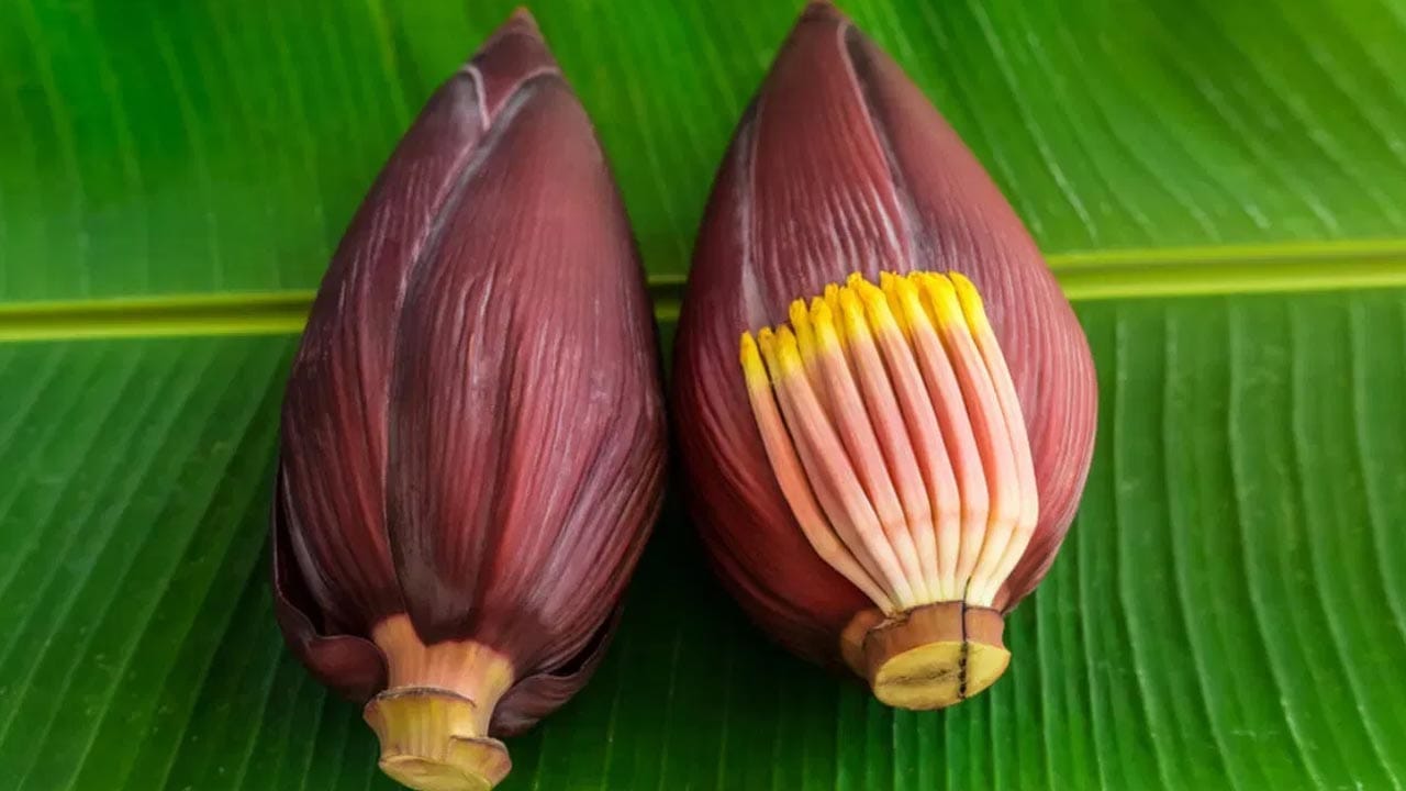 Banana Flower Recipe