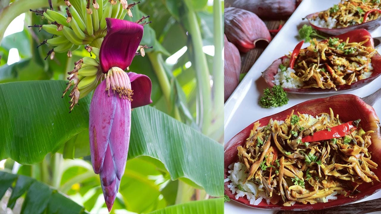 Banana Flower