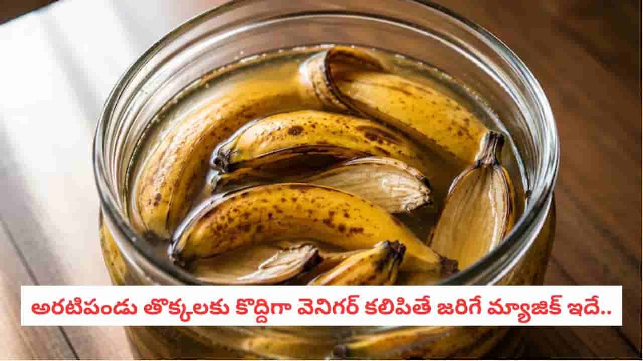 Gardening Hacks: మీ ఇంటి మొక్కల్లో పువ్వులు పూయడం లేదా?.. పవర్ఫుల్ DIY ఫెర్టిలైజర్!