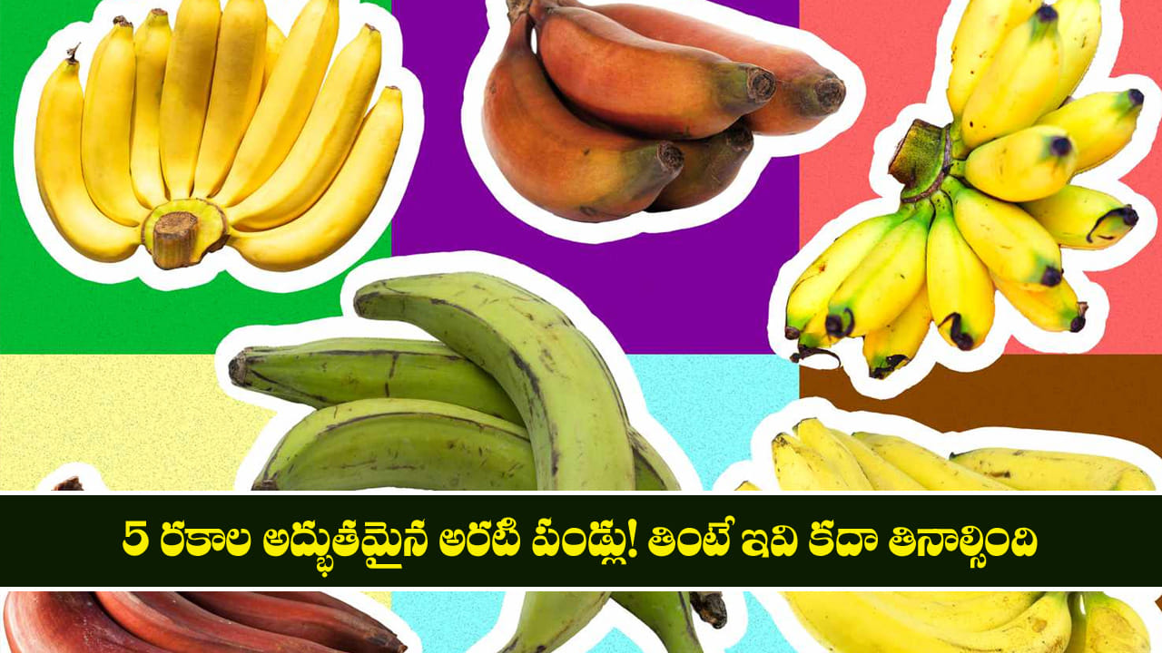Banana: 5 రకాల అద్భుతమైన అరటి పండ్లు! తింటే ఇవి కద