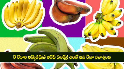 5 రకాల అద్భుతమైన అరటి పండ్లు! తింటే ఇవి కదా తినాల్సింది..