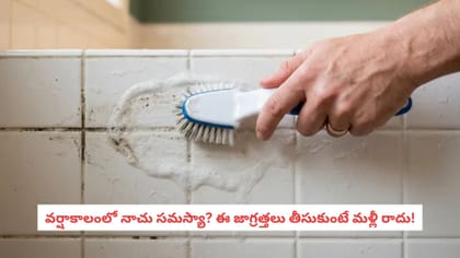 వర్షాకాలంలో నాచు సమస్యా? ఈ జాగ్రత్తలు తీసుకుంటే మళ్లీ రాదు!