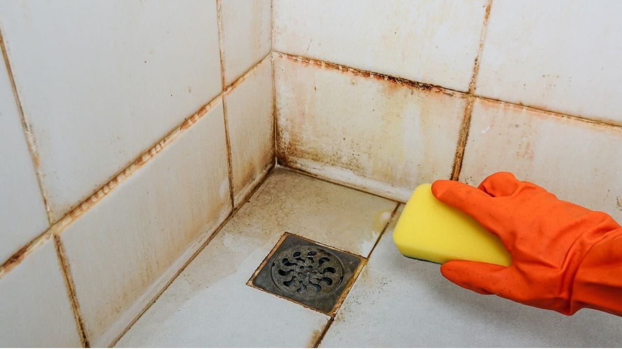 Bathroom Tiles Cleaning (3)