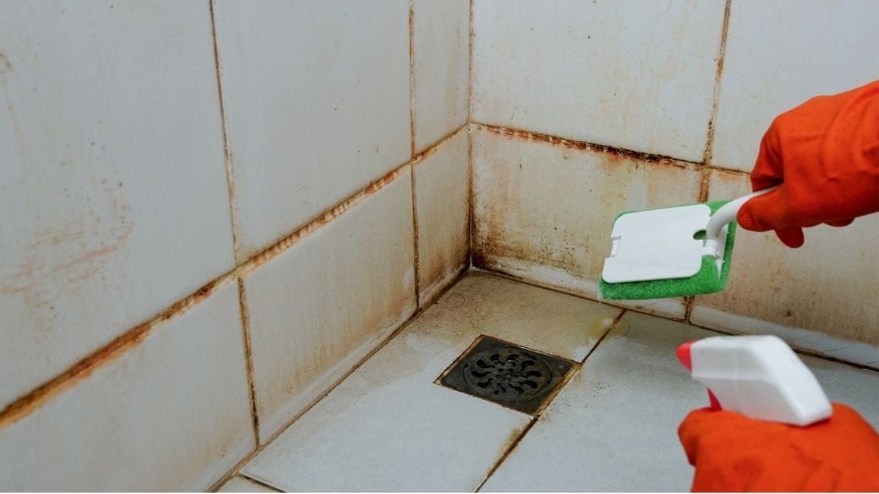Bathroom Tiles Cleaning (4)