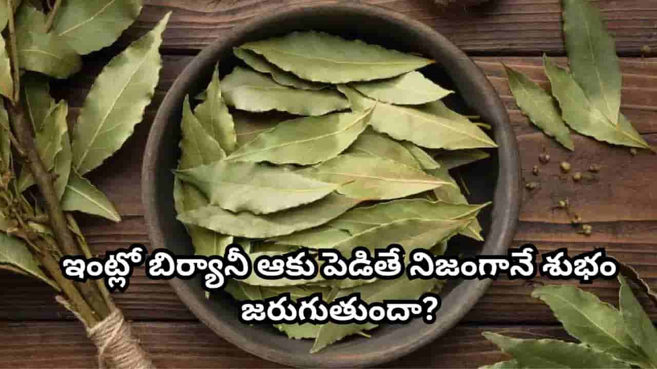 Bay Leaf: బిర్యానీ ఆకు కేవలం మసాలా కాదు.. ఇంటి శుభానికి ప్రతీకగా ఎందుకు భావిస్తారు?