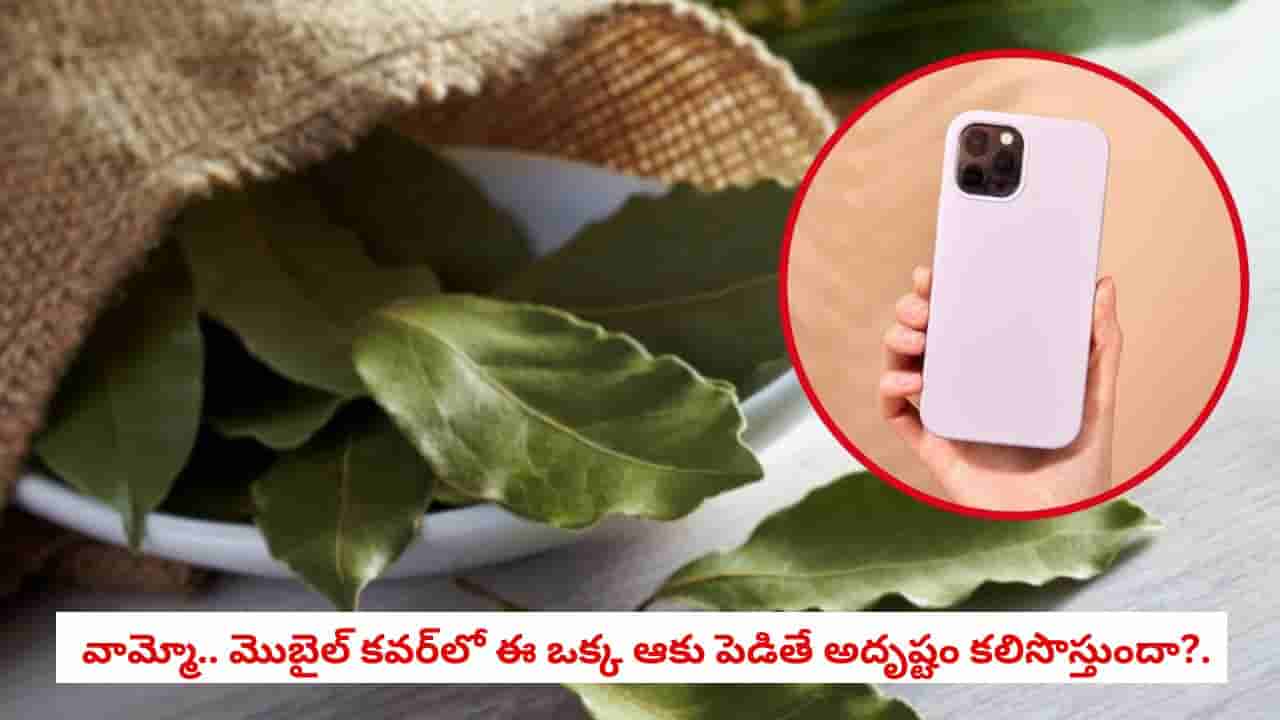 Vastu Tips: సంపద, అదృష్టం కోసం ప్రపంచవ్యాప్తంగా చాలామంది పాటిస్తున్న ఈ ట్రిక్ గురించి తెలుసా?