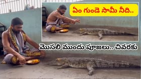 ఏం గుండె సామీ నీది.. ఏకంగా మొసలి ముందు కూర్చొని పూజలు.. ఈ వీడియో