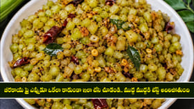 బీరకాయ ఫ్రై ఎప్పుడూ ఒకేలా కాకుండా ఇలా చేసి చూడండి..
