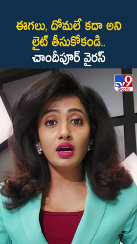 ఈగలు, దోమలే కదా అని లైట్ తీసుకోకండి.. చాందీపూర్ వైరస్