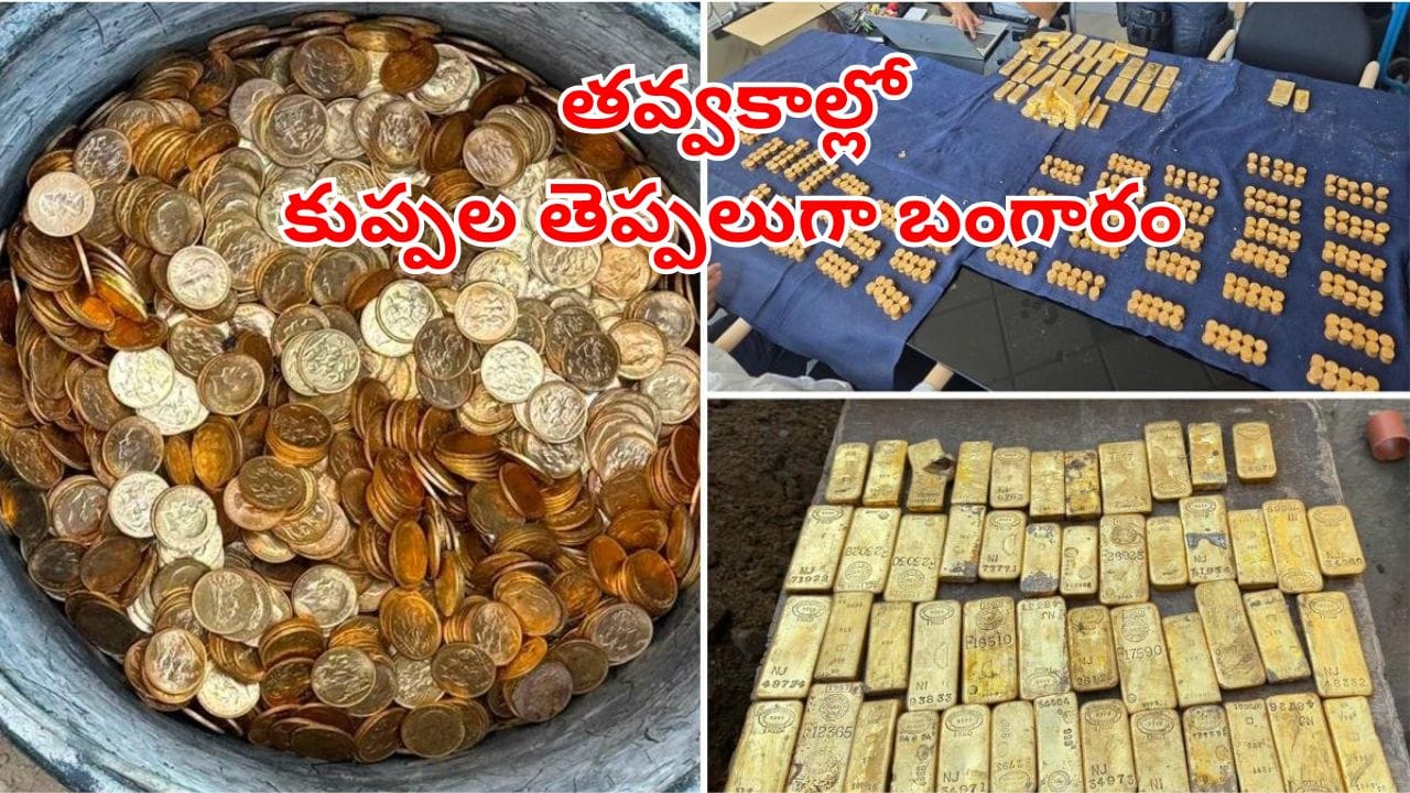 Viral Video: ఇంటిని రెనోవేట్ చేసేందుకు డ్రిల్లింగ్ పనులు.. కుప్పలు తెప్పలుగా బయటపడిన బంగారం!