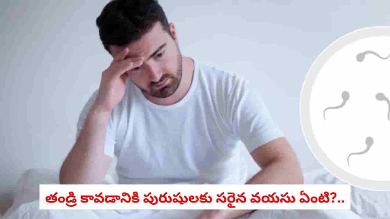 Male Fertility: పురుషులు ఏ వయసులో తండ్రి అయితే మంచిది?.. వయసు పెరిగితే ఏం మారుతుందో తెలుసా!