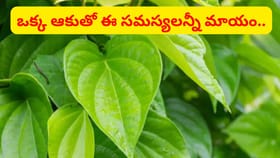 ఒక్క తమలపాకుతో ఎన్ని రోగాలు పోతాయో..