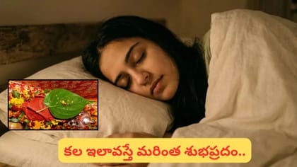 కలలో తమలపాకులు కనిపిస్తే అదృష్టమేనా? ధనలాభం, వివాహయోగం..