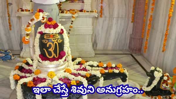 శ్రావణ మాసం భౌమ ప్రదోషం వ్రతం ఎప్పుడు? ఆగస్టు 24నా, 25నా? పూజా సమయం ఇదే