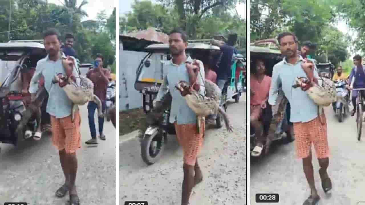 Viral Video: నువ్వే రియల్ హీరో బ్రో.. భుజంపై ఐదడుగుల మొసలితో నేరుగా అక్కడికే వెళ్లాడు..?