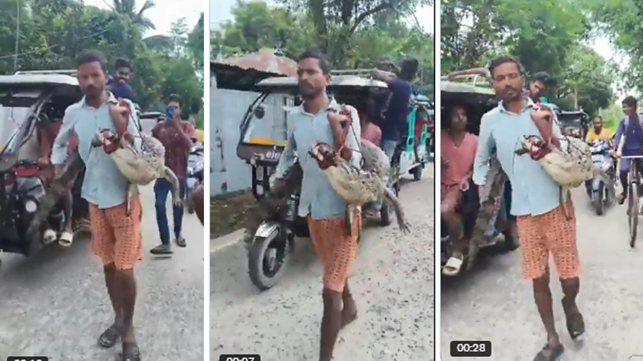 Viral Video: నువ్వే రియల్ హీరో బ్రో.. భుజంపై ఐదడుగుల మొసలితో నేరుగా అక్కడికే వెళ్లాడు..?