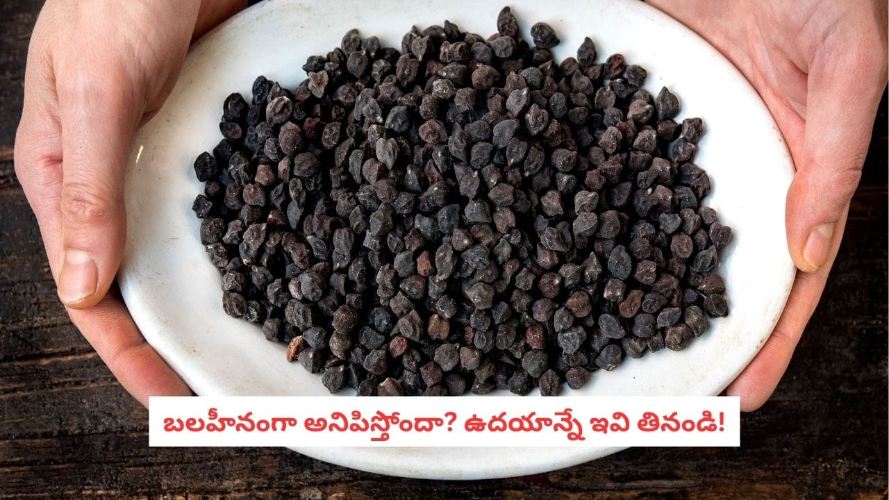 Healthy Breakfast: ఒక్క గిన్నె ఈ గింజలు తింటే.. రోజంతా శక్తితో పాటు మరెన్నో ఆరోగ్య ప్రయోజనాలు!