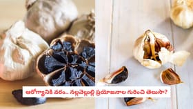 ఆరోగ్యానికి వరం.. నల్లవెల్లుల్లి ప్రయోజనాల గురించి తెలుసా?