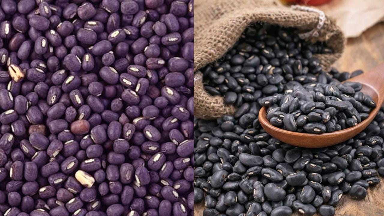 ఈ మినుములలో ప్రొటీన్లు, పీచుపదార్థం, ఐరన్, కాల్షియం ఇంకా  పొటాషియం కూడా అధికంగా ఉంటుంది.  వీటిని మీ ఫుడ్ డైట్ లో చేర్చుకుంటే మీ ఎముకలు కూడా బలంగా అవుతాయి. అందుకే ఇప్పటికీ ఎంతో మంది ఉదయం టిఫిన్ కింద వీటిని తీసుకుంటారు.  శరీరానికి శక్తిని ఇస్తుంది ఇంకా గుండె ఆరోగ్యం కూడా మెరుగుపడుతుంది. 