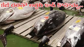 ప్రపంచంలోనే అత్యంత ఖరీదైన ఈ చేప స్పెషల్ ఏంటో తెలుసా..?