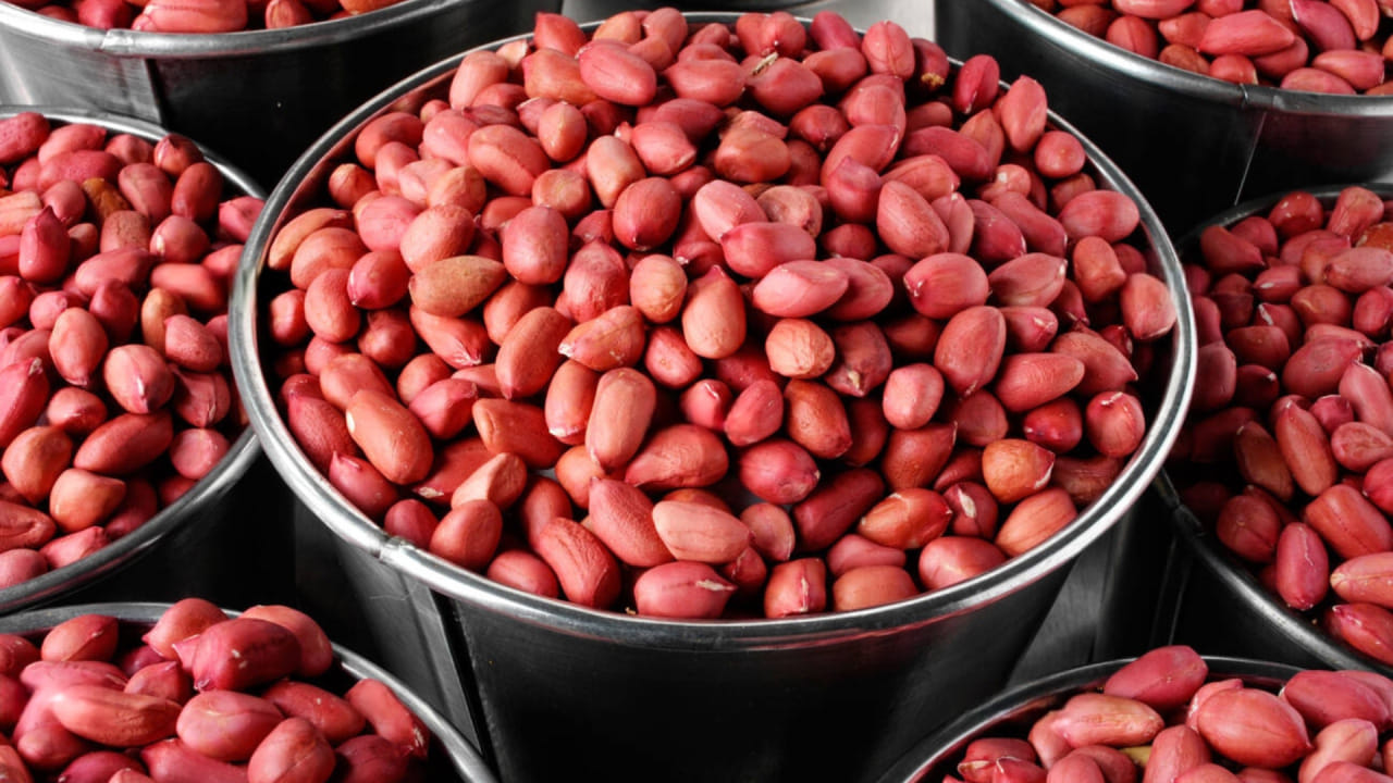 Budget Protein Food (3)