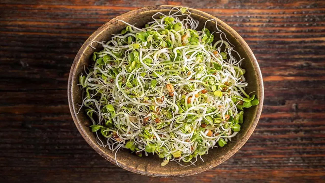 Budget Protein Food (4)