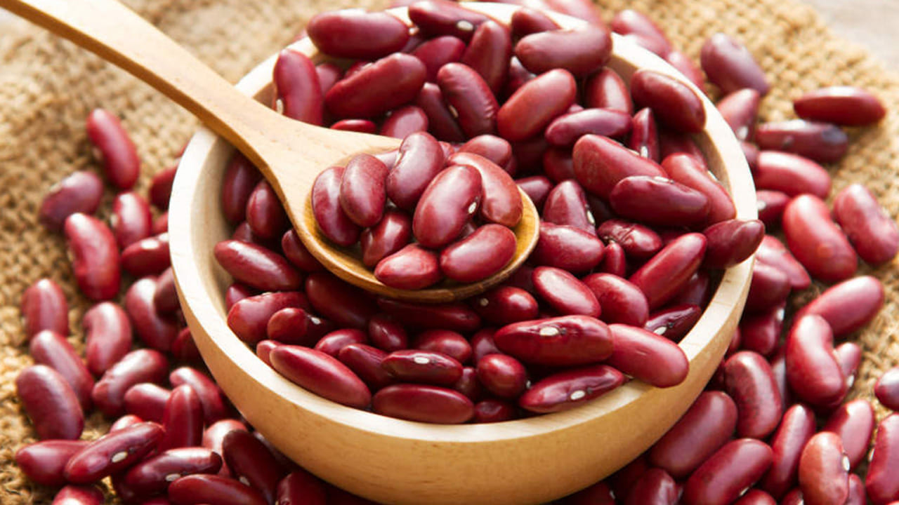 Budget Protein Food (5)