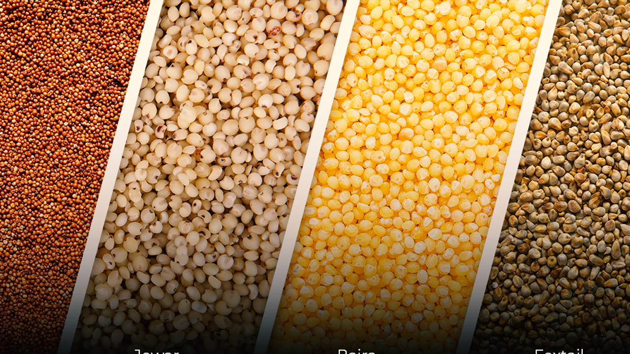 Budget Protein Food (6)