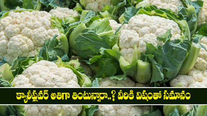క్యాలీఫ్లవర్ అతిగా తింటున్నారా..? వీరికి విషంతో సమానం
