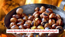 బరువు తగ్గాలనుకునేవారు ఈ నట్స్ గురించి తెలుసుకోవాల్సిందే!