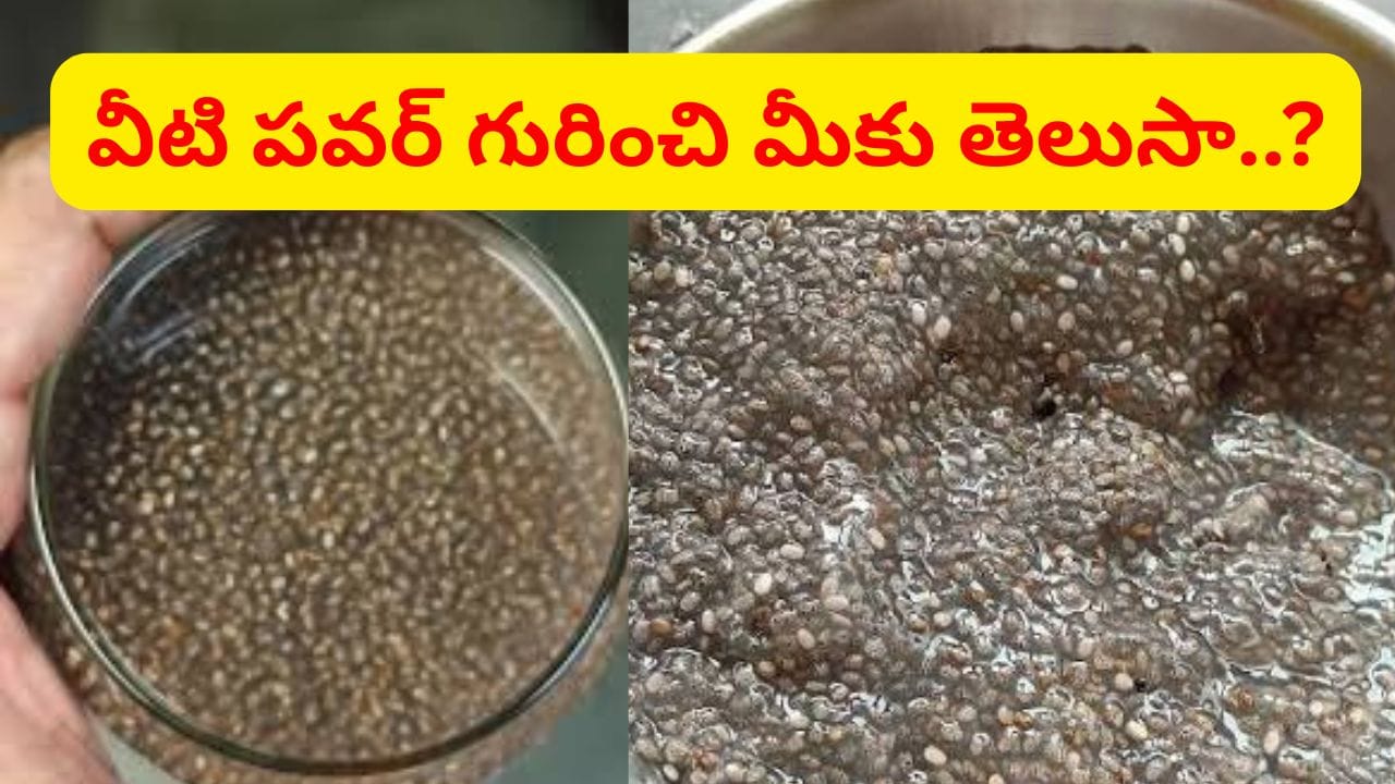 అసలు చియా సీడ్స్ను ఎంతసేపు నానబెట్టాలి.. ఎలా తినాలి..? 100% ఇది ఎవ్వరికీ తెలియదు..