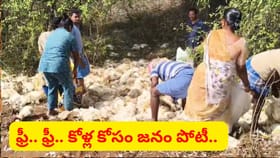 ఫ్రీ.. ఫ్రీ.. కోళ్ళను ఎత్తుకెళ్లేందుకు బస్తాలే తీసుకొచ్చారు..