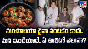 మంచూరియా చైనా వంటకం కాదు.. మన ఇండియాదే..
