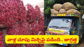 మాయమవుతున్న మిర్చి బస్తాలు.. అనుమానంతో ఫిర్యాదు చేస్తే..