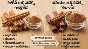 మన ఇంట్లోని దాల్చిన చెక్క నకిలీదా..? అసలైనది గుర్తించే చిట్కాలు