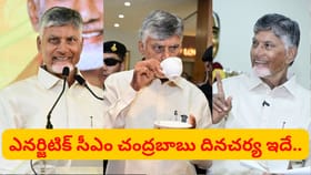 ఆహారం నుంచి యోగా వరకు.. చంద్రబాబు దినచర్య ఇదే..