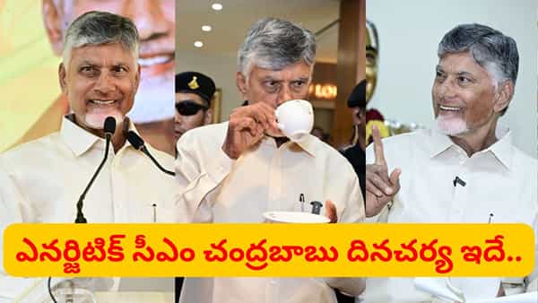 CM Chanrababu: 76 ఏళ్ల వయస్సులోనూ ఇంత ఎనర్జీ ఎలా..? సీఎం చంద్రబాబు దినచర్య, డైట్ రహస్యం ఇదే..