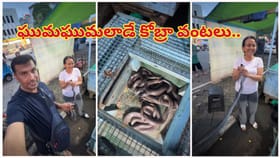 చికెన్, మటన్‌, చేపలు కాదు.. ఘుమఘుమలాడే కోబ్రా వంటకాలు!